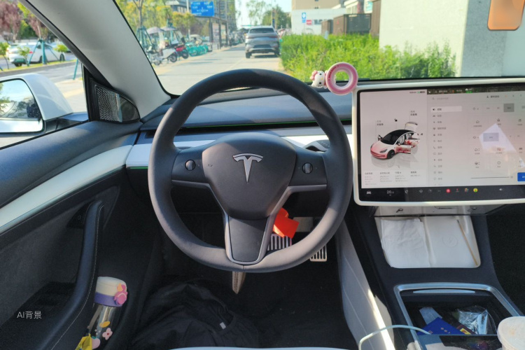 Tesla Model 3 2022 immagine di auto #12