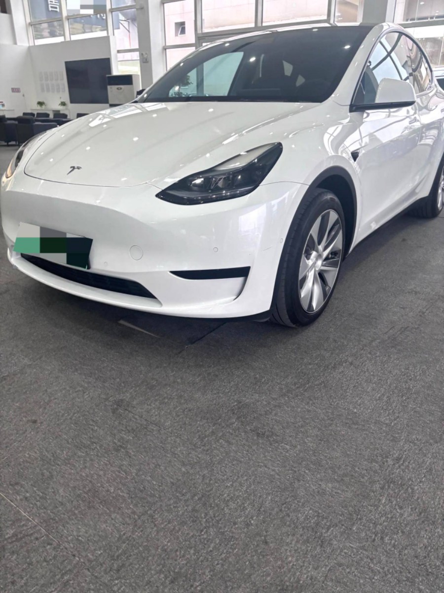 Tesla Model Y 2022 car image #2