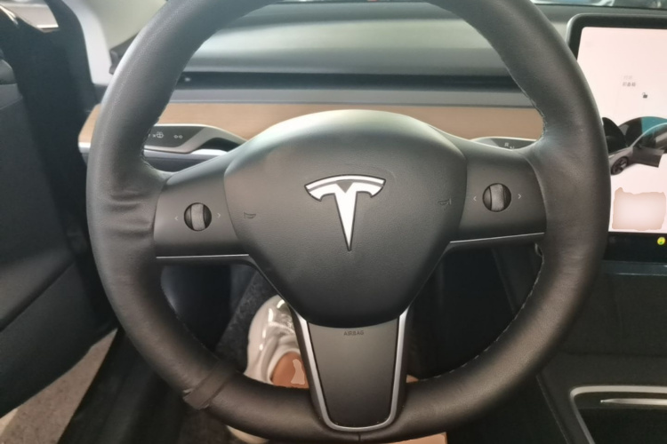 Tesla Model 3 2021 car image #11