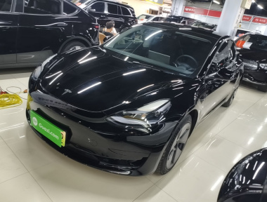 Tesla Model 3 2021 Tesla Model 3 2021 immagine di auto