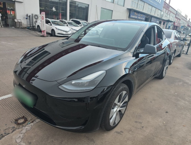 Tesla Model Y 2023 car image 