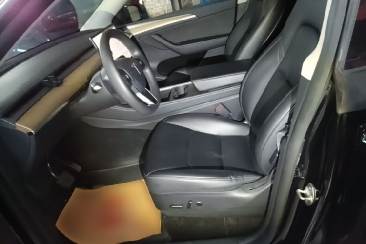 Tesla Model Y 2021 #15 Tesla Model Y 2021 car image #15