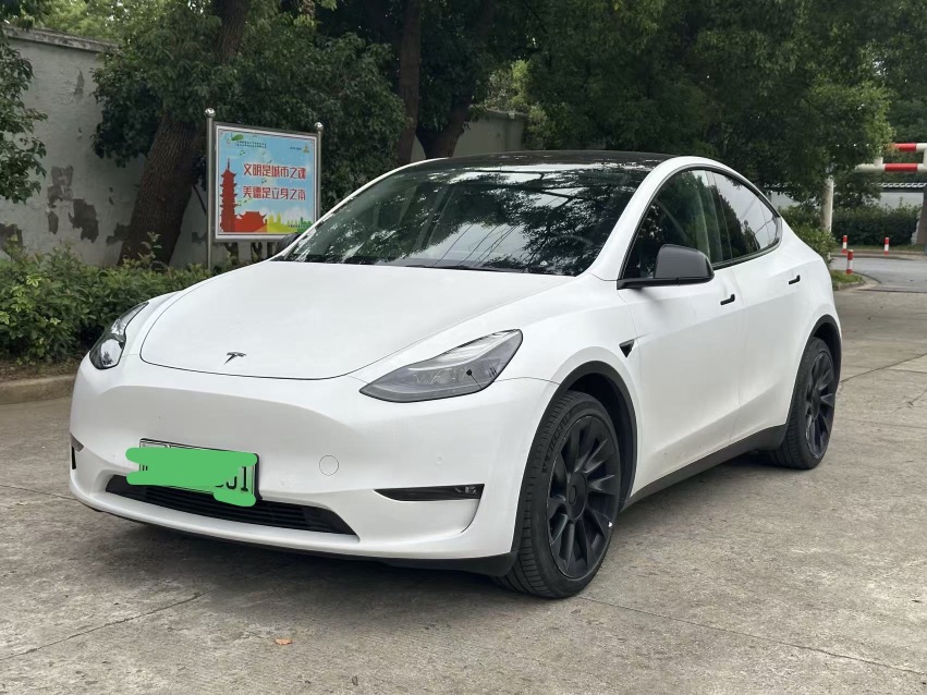 Tesla Model Y 2021 Tesla Model Y 2021 car image