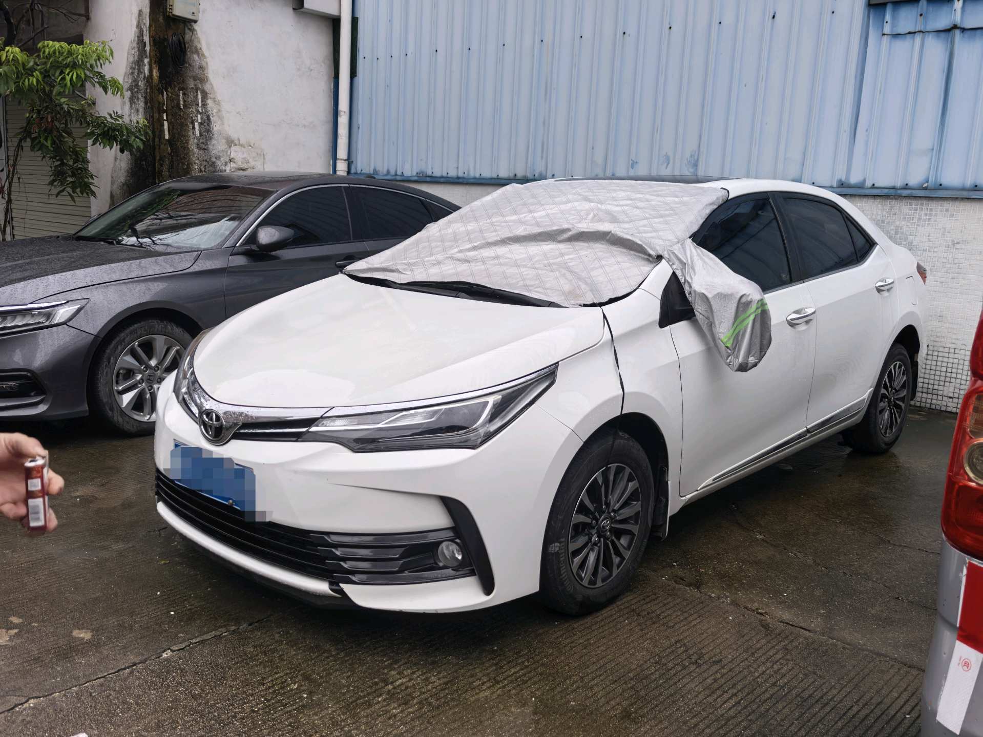 Toyota Corolla 2019 car image 