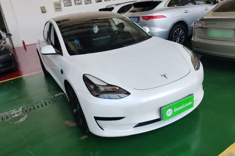 Tesla Model 3 2021 #4 Tesla Model 3 2021 car image #4