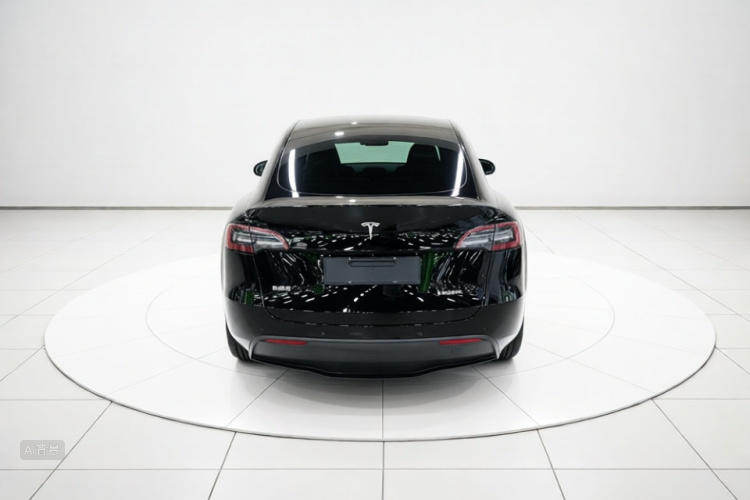 Tesla Model Y 2021 car image #6