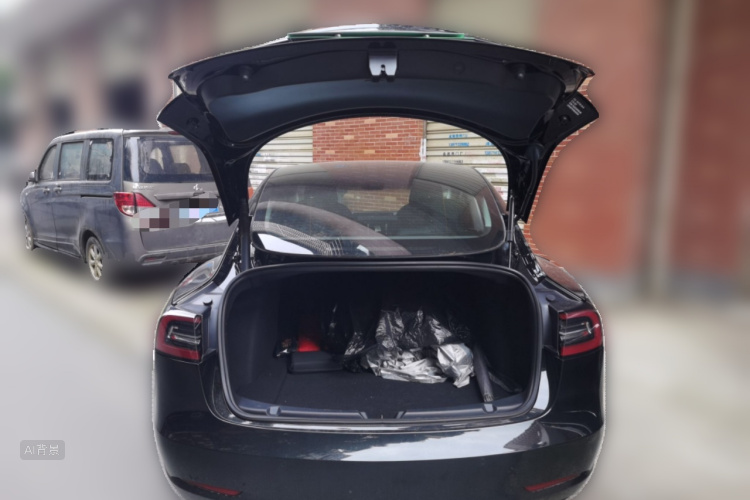 Tesla Model 3 2022 car image #21