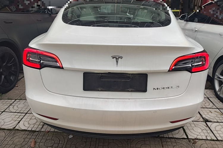 Tesla Model 3 2021 #6 Tesla Model 3 2021 car image #6