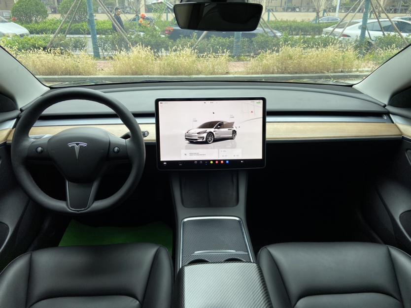 Tesla Model 3 2022 imagem de carro #13