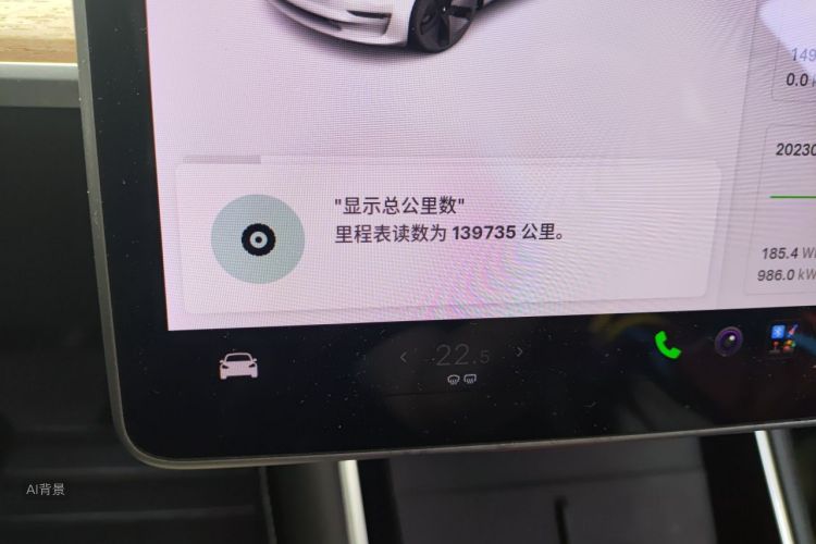 Tesla Model 3 2020 immagine di auto #14