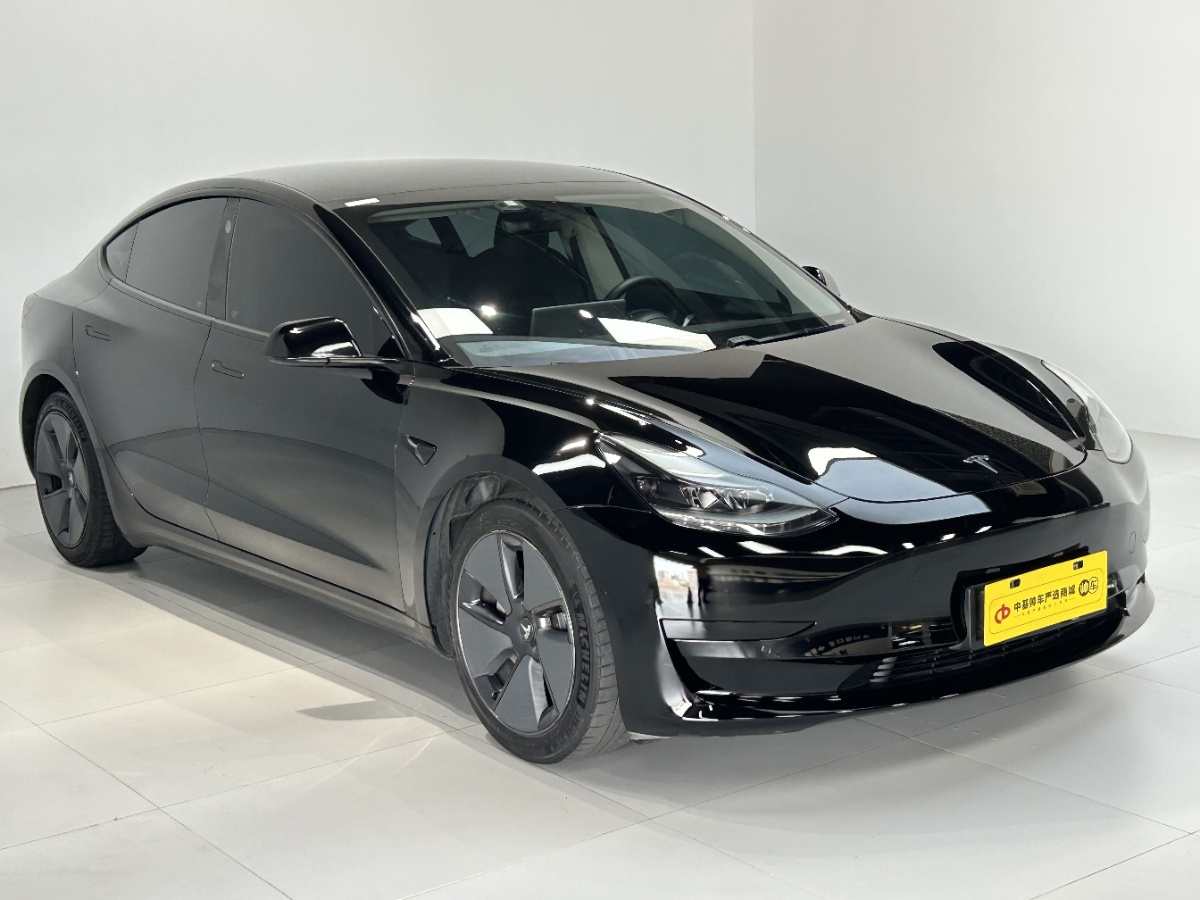 Tesla Model 3 2021 #3 Tesla Model 3 2021 car image #3