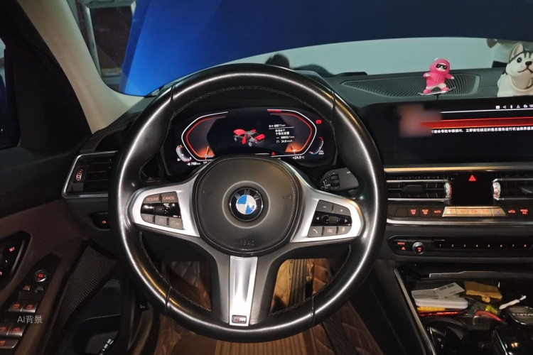 BMW 3 Series 2021 car image #12