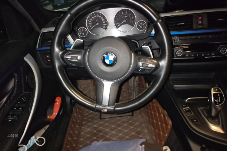 BMW 3 Series 2017 car image #12