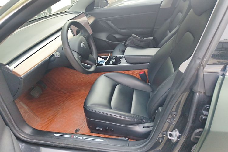 Tesla Model 3 2020 car image #19