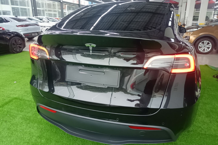 Tesla Model Y 2023 #6 Tesla Model Y 2023 car image #6