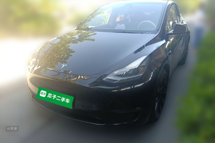 Tesla Model Y 2022 car image #2