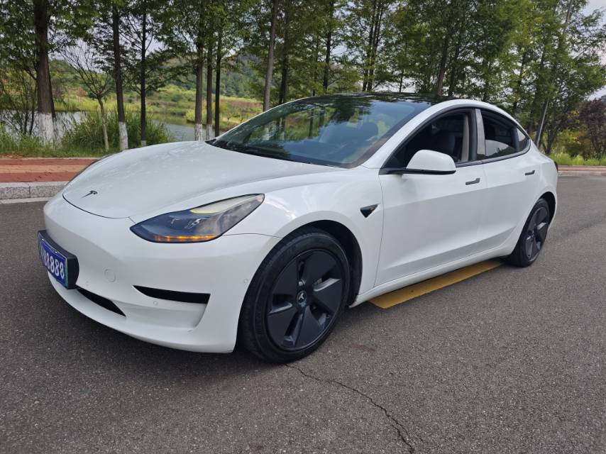 Tesla Model 3 2021 car image 