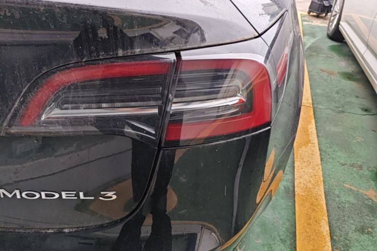 Tesla Model 3 2023 #8 Tesla Model 3 2023 car image #8