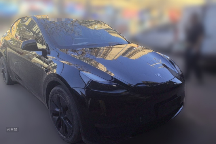 Tesla Model Y 2023 car image #4