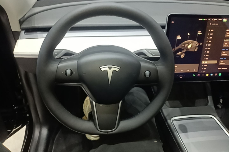 Tesla Model Y 2021 #15 Tesla Model Y 2021 car image #15