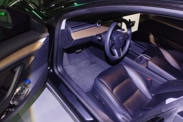 Tesla Model 3 2022 imagem de carro #18