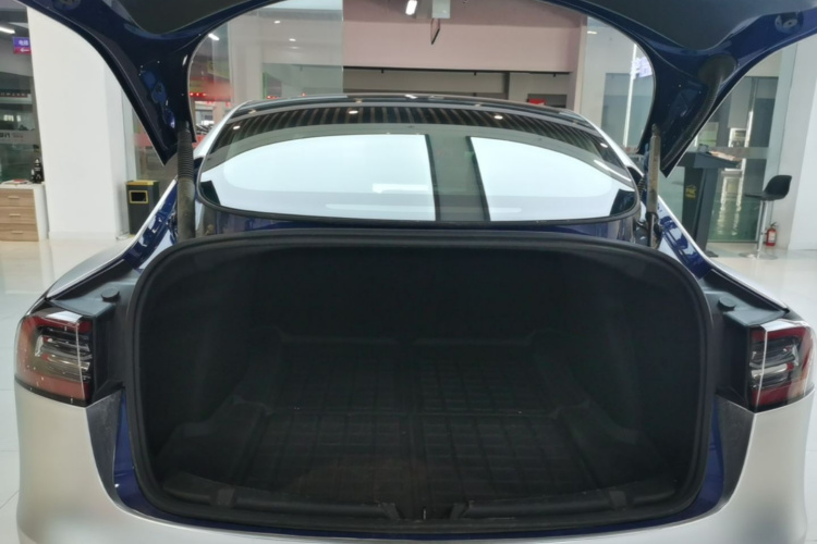 Tesla Model 3 2021 #21 Tesla Model 3 2021 immagine di auto #21