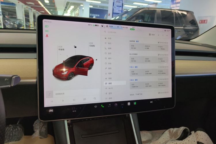 Tesla Model 3 2020 car image #13