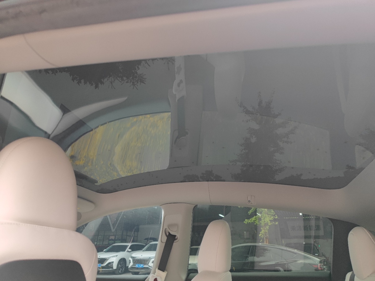Tesla Model Y 2022 car image #5