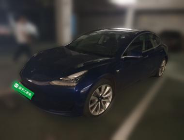 Tesla Model 3 2020 Tesla Model 3 2020 car image