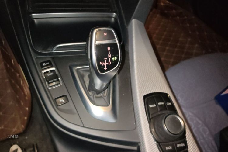 BMW 3 Series 2017 car image #16