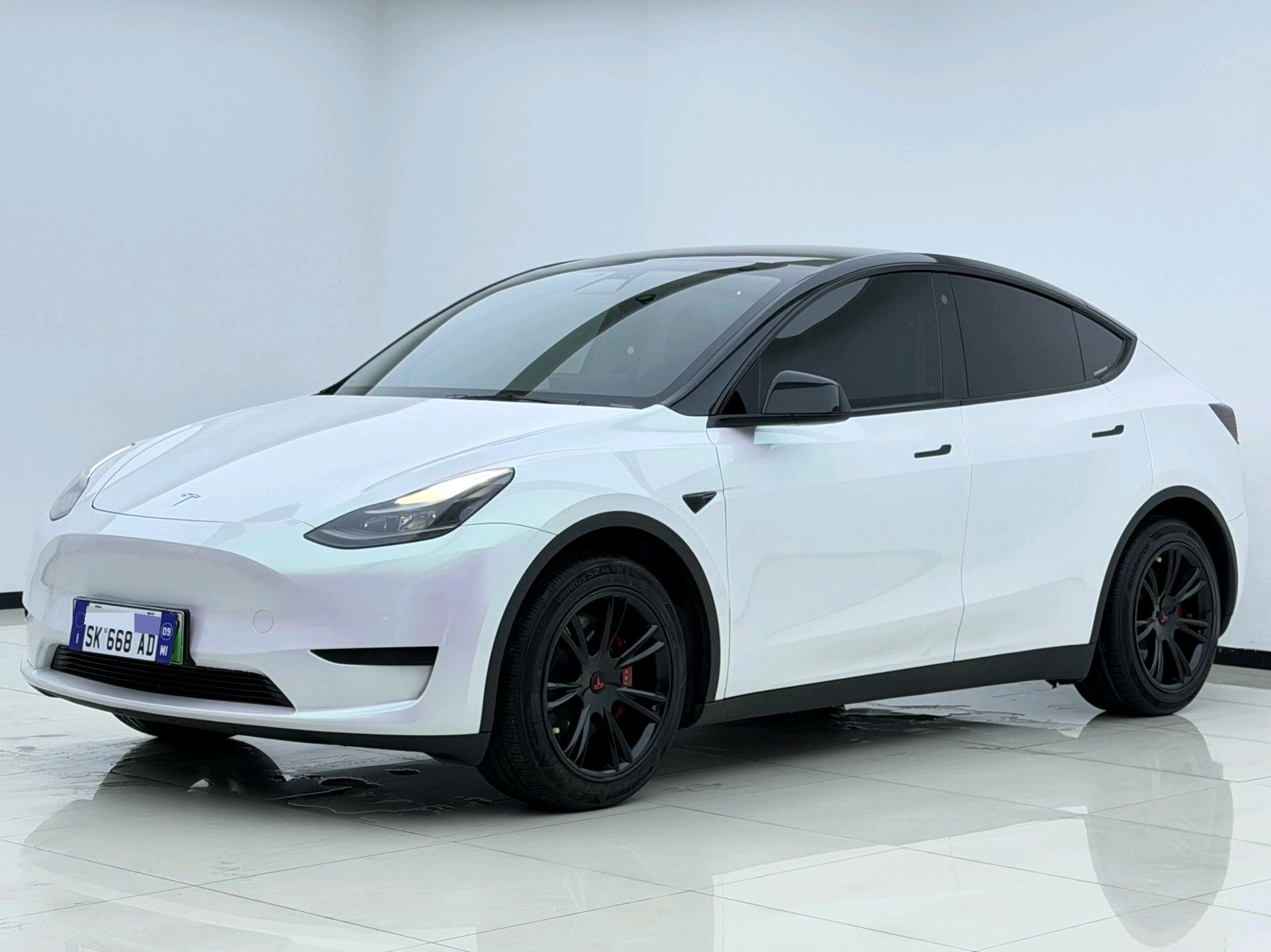 Tesla Model Y 2024 car image 
