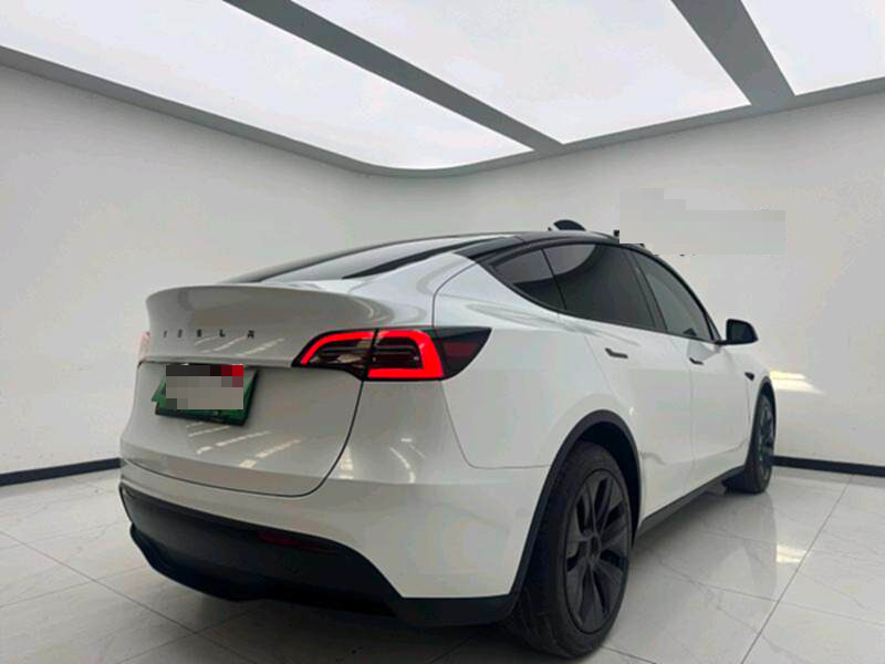 Tesla Model Y 2024 car image #6