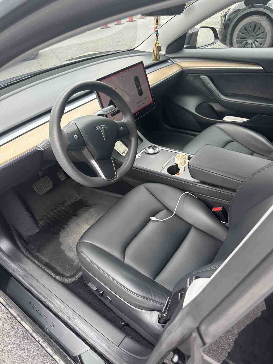 Tesla Model 3 2021 #3 Tesla Model 3 2021 car image #3