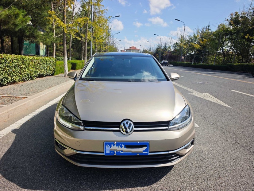 Volkswagen Golf 2020 imagen de coche #2