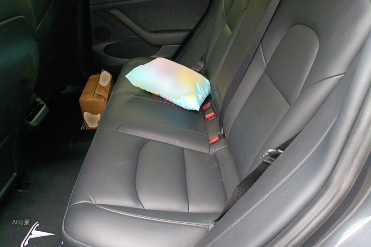 Tesla Model 3 2021 #19 Tesla Model 3 2021 car image #19