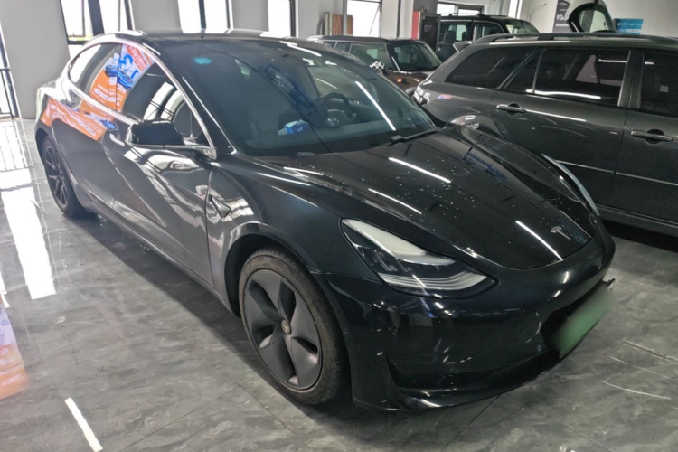 Tesla Model 3 2020 car image #4
