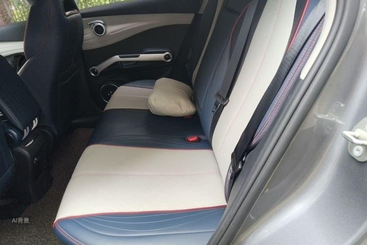 BYD Yuan Plus 2023 car image #19