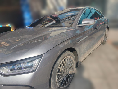 BYD Han 2022 car image 