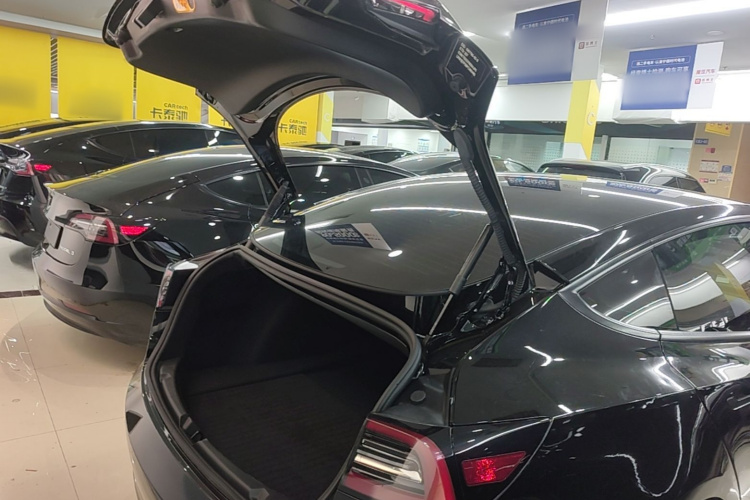 Tesla Model 3 2023 #19 Tesla Model 3 2023 صورة سيارة #19