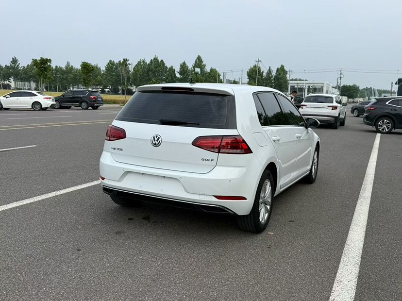 Volkswagen Golf 2019 car image #4