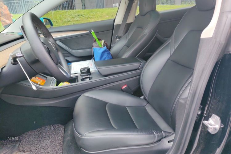 Tesla Model 3 2021 car image #17
