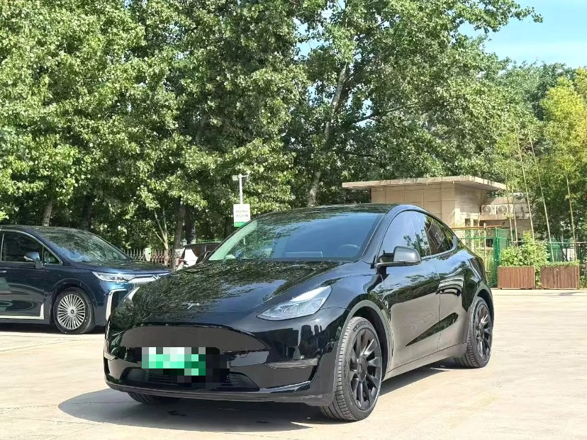 Tesla Model Y 2021 Tesla Model Y 2021 car image