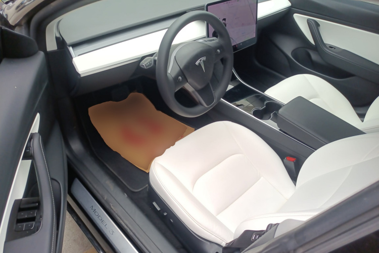 Tesla Model 3 2020 car image #12