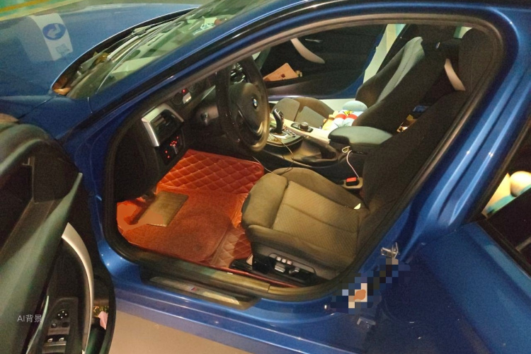 BMW 3 Series 2017 car image #18