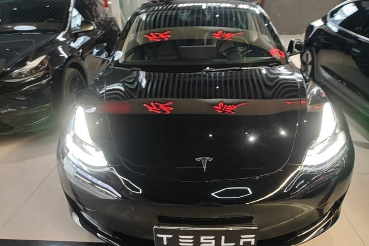 Tesla Model 3 2023 #3 Tesla Model 3 2023 car image #3