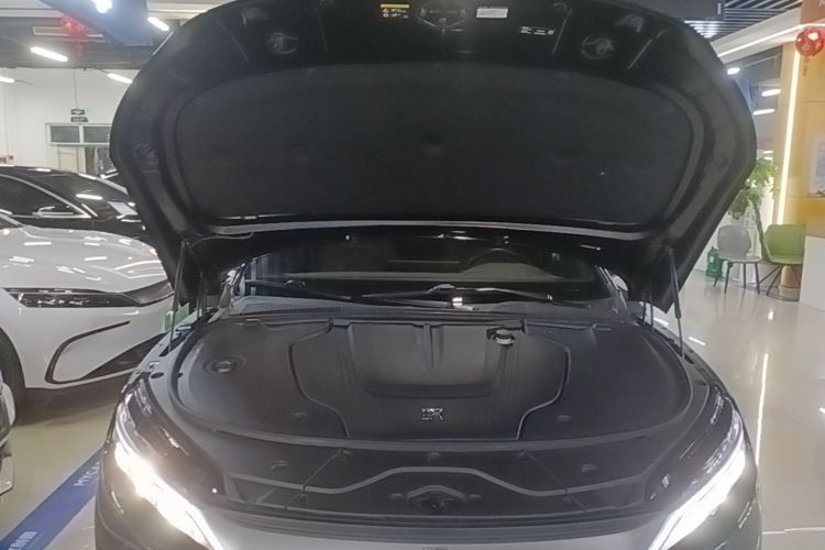 比亚迪 汉 2023 汽车图片 #22