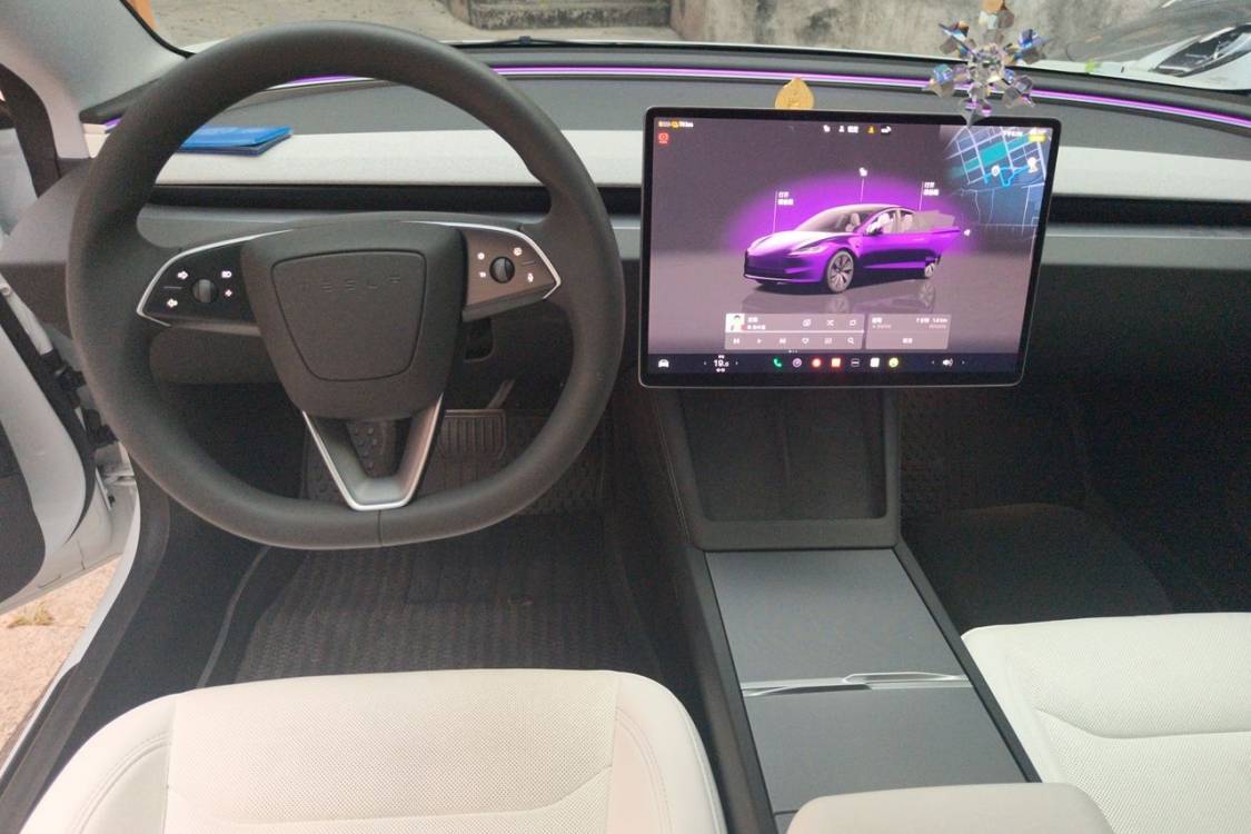 Tesla Model 3 2024 imagen de coche #21