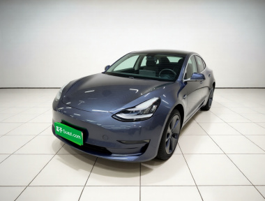 Tesla Model 3 2020 Tesla Model 3 2020 car image