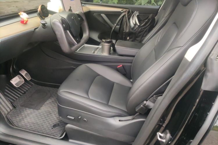 Tesla Model Y 2021 car image #19