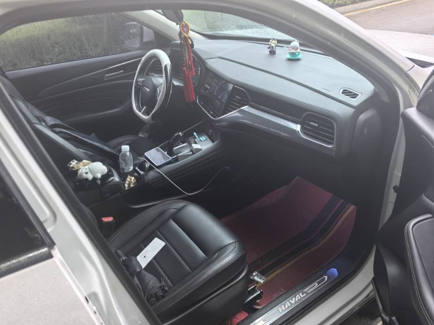 Haval F7x 2020 car image #5